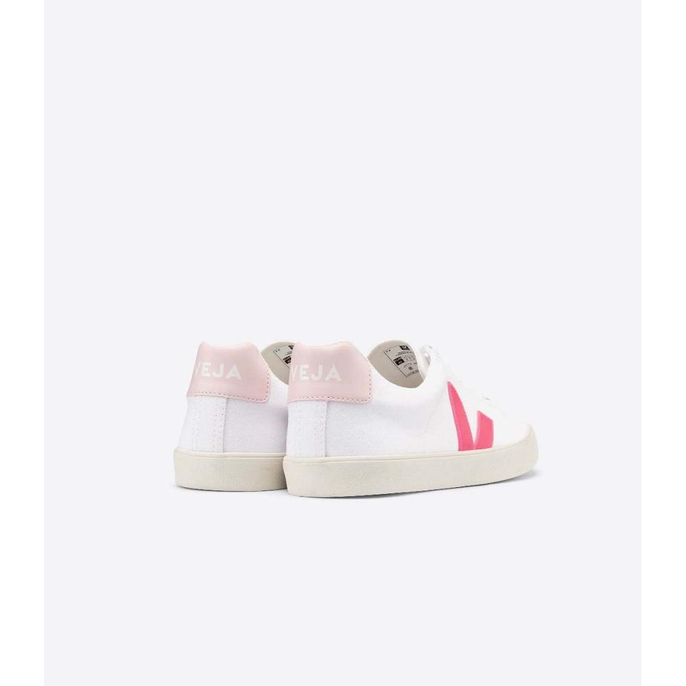 Αθλητικά Παπούτσια γυναικεια Veja ESPLAR SE CANVAS White/Pink | GR 608EBC